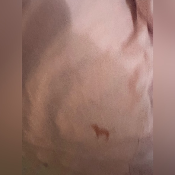 Victoria’s Secref Pink crop top - Picture 2 of 5